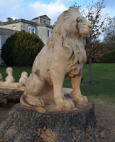 Aslan