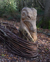 Dragon in Magdalen Wood