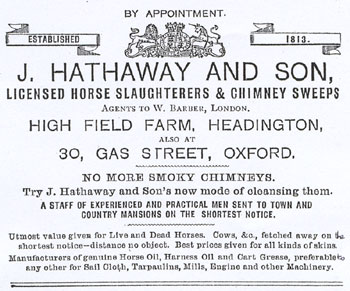 Hathaway at Highfield Farm