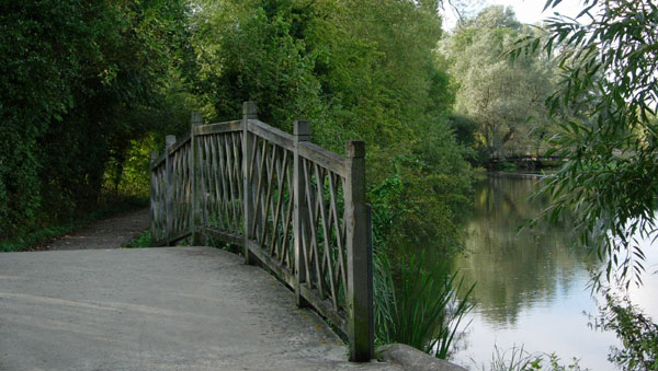 Humped bridge