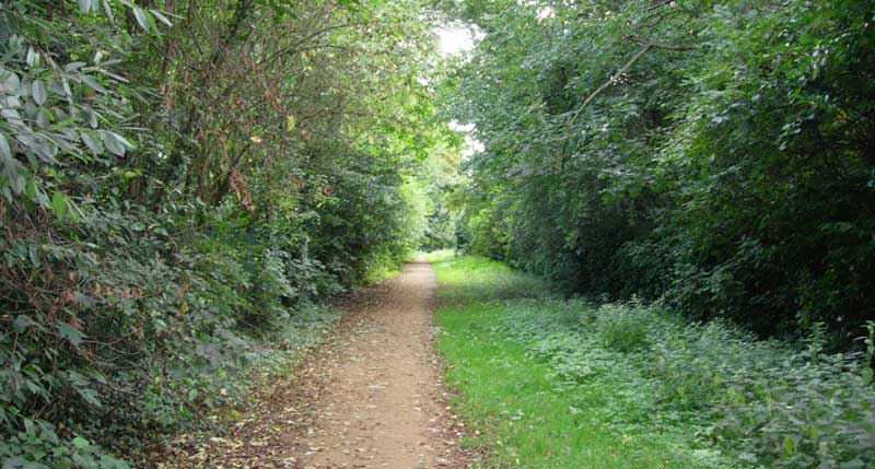 Wide part of Cuckoo Lane