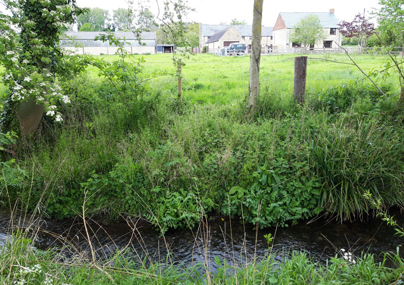 Lower Farm
