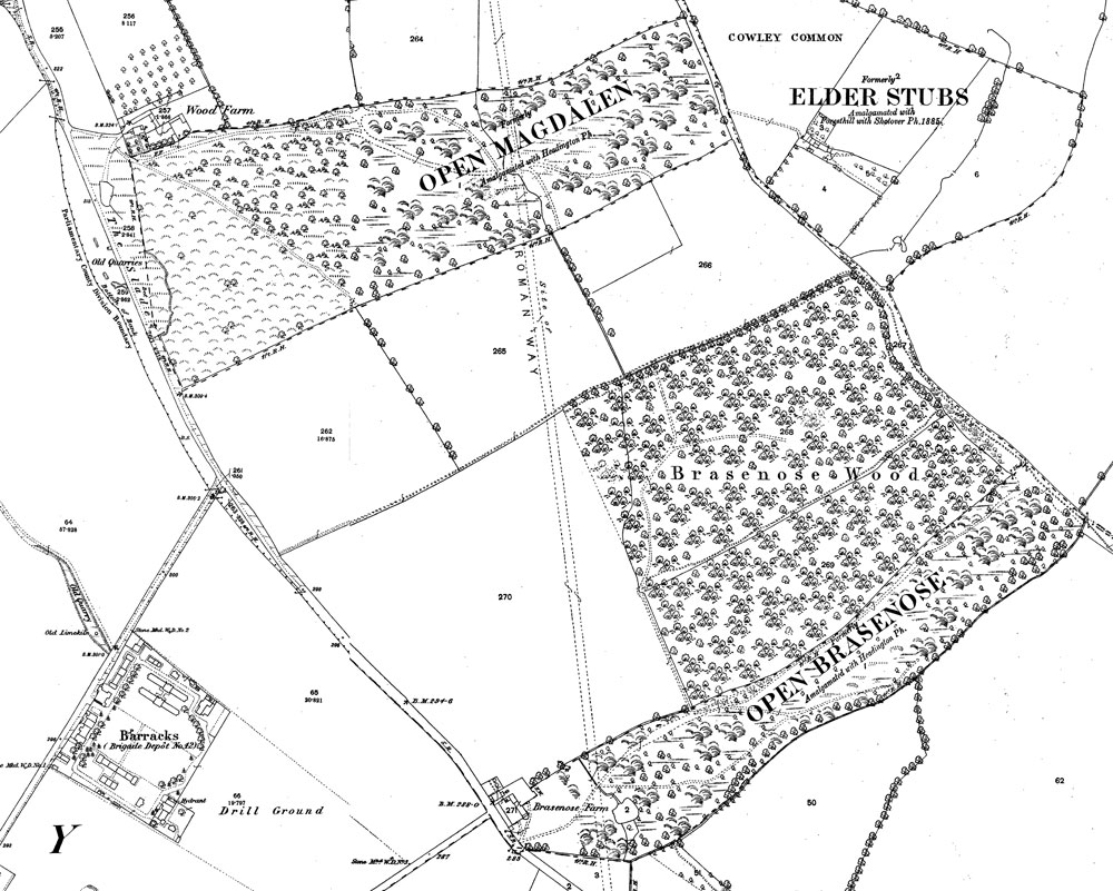 Magdalen and Brasenose Woods