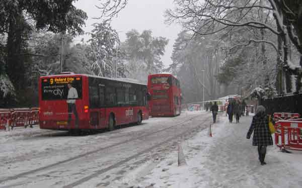 Bus 1