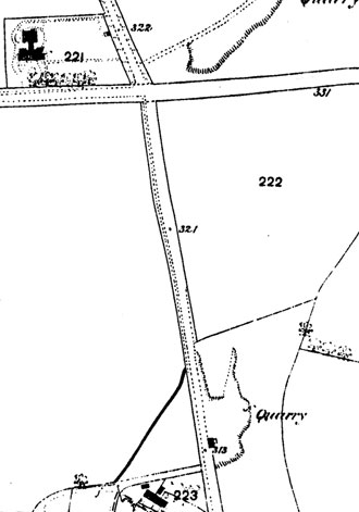 Harry Bear 1876
