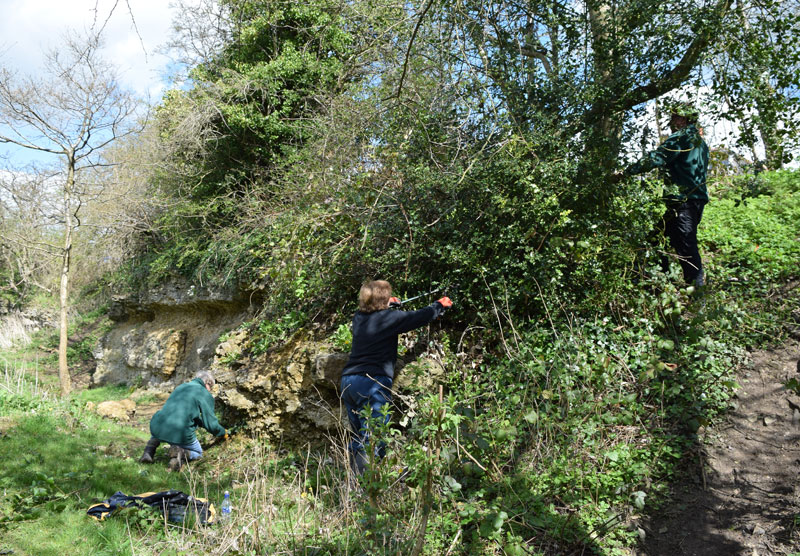 Friends of Lye Valley at work